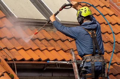 Démoussage et hydrofuge de toiture à Landudec
